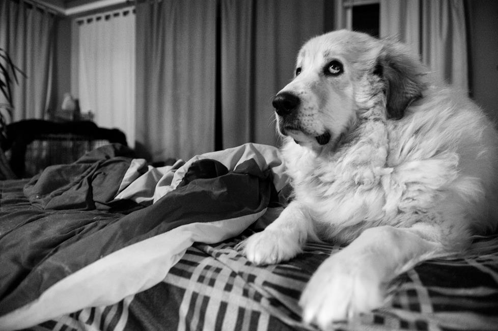 Shooting indoors at night? Try black and white